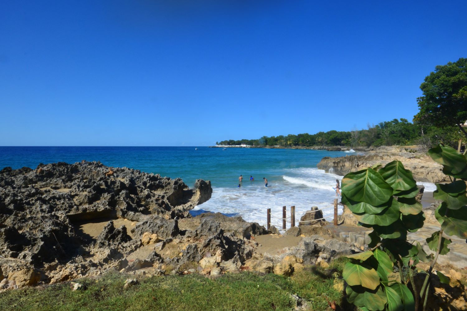 Condo community landscaping